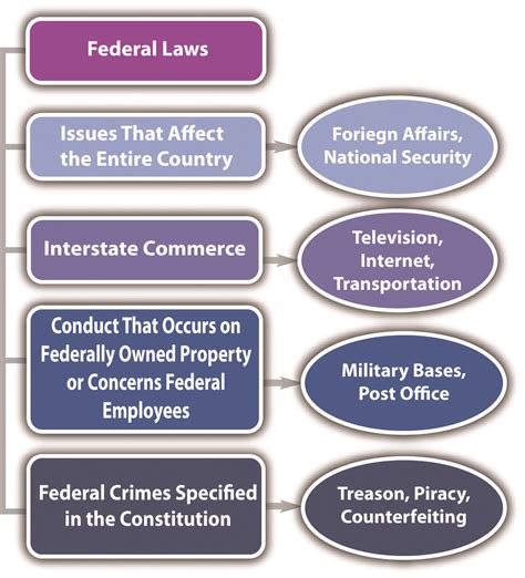 the law of the city|What is the federal law at the center of the Supreme Court's latest .
